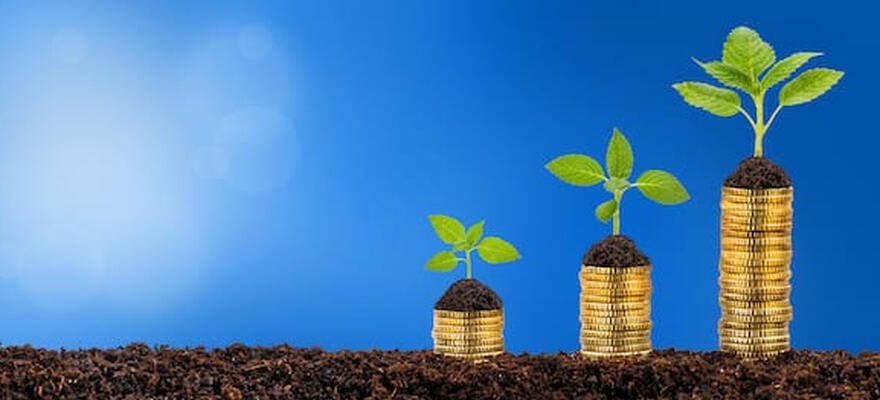 Optimisation patrimoniale